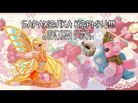 Видео: БАРАХОЛКА КОРМИТ!!!ПОПАЛСЯ ЖУК В ФИЛИ!!!