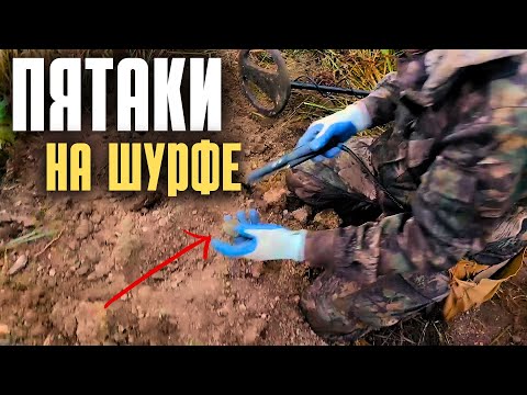 Видео: Повылазили "ПЯТАКИ" на шурфе! Коп с XP ORX