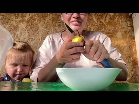 Видео: Не помню какие дни :) Дачный детский сезон похоже закрыт в этом году :(