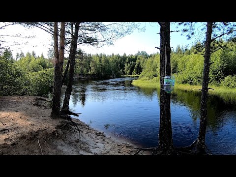 Видео: Бохта - Тунгуда 2025. часть 9