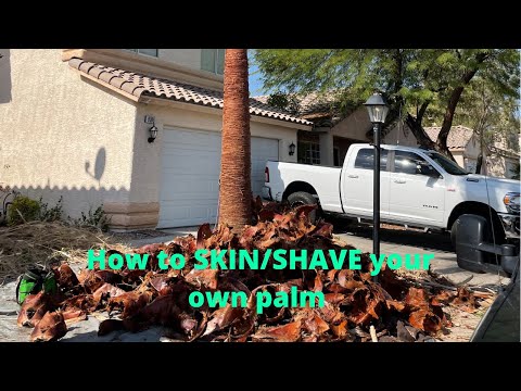 Видео: Как ПРАВИЛЬНО снять кожу с ладони (и инструменты, которые вам понадобятся)