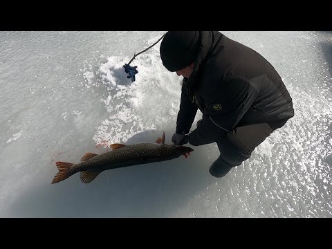 Видео: ЗАКРЫТИЕ ЗИМНЕГО СЕЗОНА 2025 (ЧАСТЬ 2)