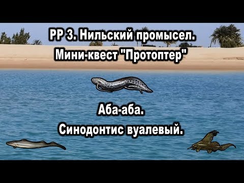 Видео: РР3. Нильский промысел - Протоптер мраморный. Аба-аба. Синодонтис вуалевый.