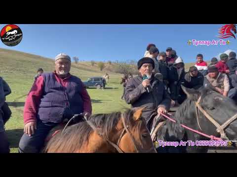 Видео: Өзгөн шаары, Чангет айылы. Аламан улак.