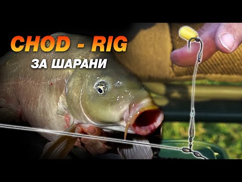 Видео: "Chod rig” Чод - риг за ШАРАНИ / Врачански шарани - V част