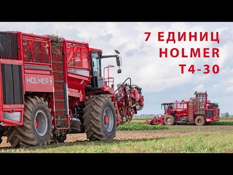 Видео: ЗАКОПКИ - Начало сезона уборки сахарной свеклы / 7X HOLMER T4-30