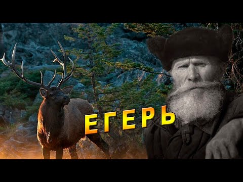 Видео: История старого егеря!