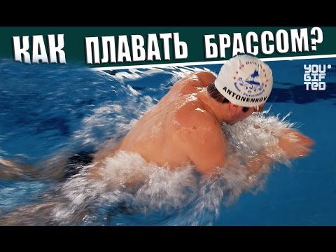 Видео: Как правильно плавать брассом? Данил Антоненков.