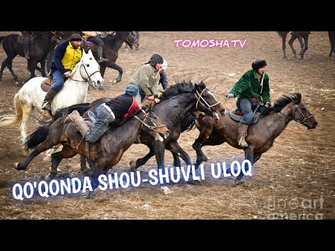 Видео: Хамма кутган. Улок кўпкари Кўкон отбозлари