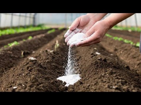 Видео: Доломитовая мука - 100 % восстановление почвы