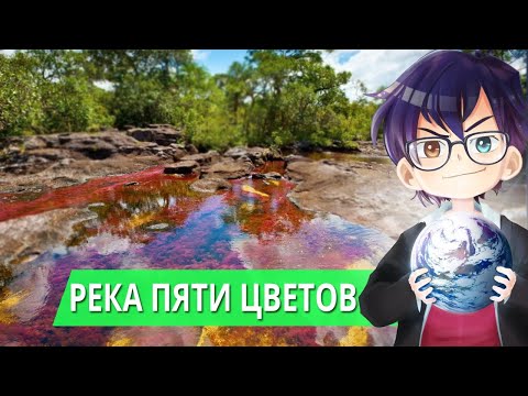 Видео: КАНЬО-КРИСТАЛЕС / РЕКА ПЯТИ ЦВЕТОВ В КОЛУМБИИ // Я Короче Узнал
