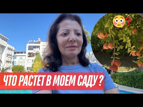Видео: МОЙ РАЙСКИЙ САД  ❤️‍🔥 ‼️🌿 НЕ ВЕРИТСЯ, ЧТО ЭТО ВО ДВОРЕ!
