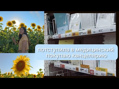 Видео: я поступила в медицинский университет | обзор на канцелярию