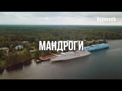 Видео: Мандроги