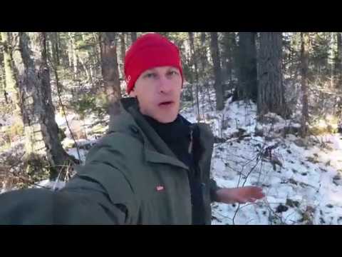 Видео: ГОТОВИМ В ЛЕСУ, ночуем в избушке, колем дрова, поход с АБВГАТ