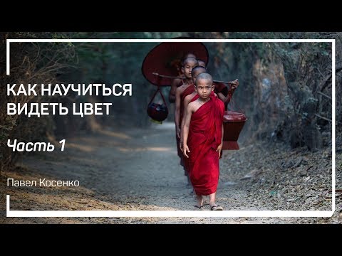 Видео: Что такое цвет? Как научиться видеть цвет. Павел Косенко