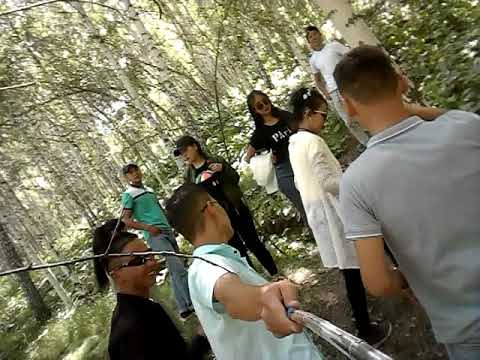 Видео: Мин-чынар 2001