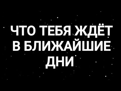 Видео: 🍁💥ЧТО ВАС ЖДЁТ В БЛИЖАЙШИЕ ЧАСЫ И ДНИ❤️ТАРО ДЛЯ МУЖЧИН 