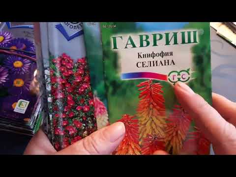 Видео: Однолетники/Великолепие красок лета/Обзор семян однолетних цветов/2022