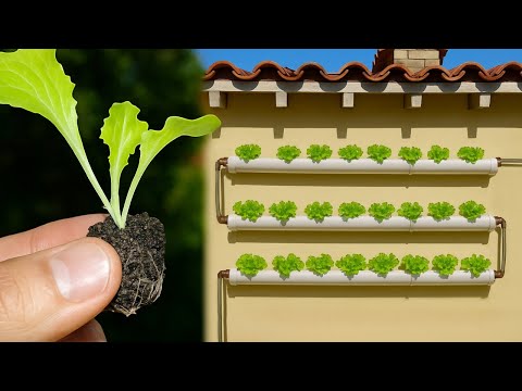 Видео: 💧Как построить простую настенную гидропонную систему дома