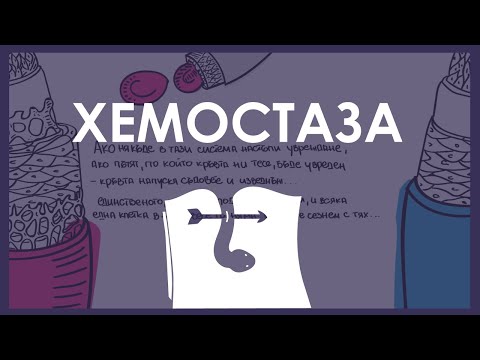 Видео: Физиология | Гемостаз (спонтанное свертывание крови)