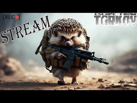 Видео: 🔴Tarkov. На тоненьких лапках подкрался ВАЙП?. stream....