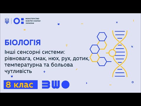 Видео: 8 клас. Біологія. Сенсорні системи: смак, нюх, рівновага, рух, дотик, температура, біль.