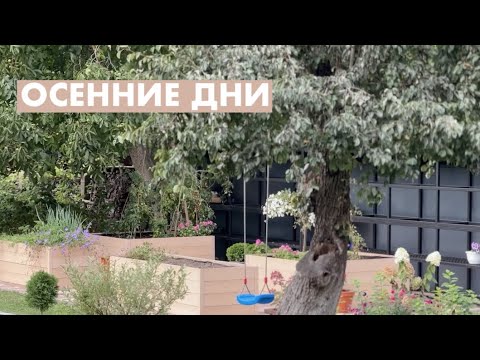 Видео: ТРУДИМСЯ ВО ДВОРЕ🧹УБИРАЮ ВСЕ ЦВЕТЫ | ПОСЛЕДНИЕ НОВОСТИ И КАК ВСЕГДА ОСЕННЯЯ РУТИНА🍂