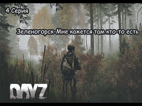 Видео: 4 Серия | ВЫЖИВАНИЕ ДЕЙЗ | Зеленогорск-Там кто-то был? | DayZ 1.26 Dusk Vanilla 1 PP