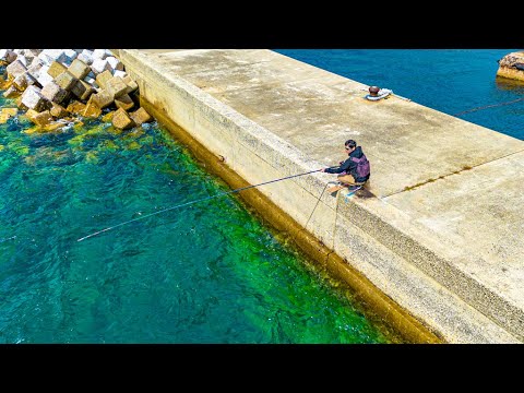 Видео: В этом волновом водолоке слишком много рыбы. Морской ежа - лучшая приманка.