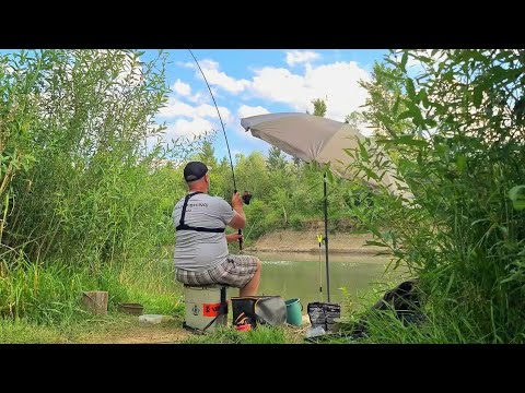 Видео: КЛЮВАЛО ПОКИ НЕ ПРИЙШЛИ ВОНИ. Фідерна Риболовля На Пруті