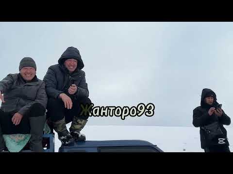 Видео: Омуршер Талантуу жигит