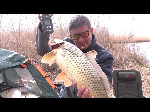 Видео: ЛОВЛЯ САЗАНОВ НА ДИКОМ ОСТРОВЕ - РЫБАЛКА С НОЧЁВКОЙ 2025