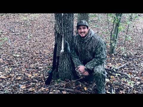 Видео: Охота на белок (Crosman Legacy 1000) 10-калиберная пневматическая винтовка Pump/BB!