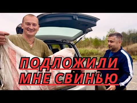 Видео: ПОЕХАЛИ НА ГЛУХОЙ ХУТОР К АНТОХЕ ЗА ПОРОСЯТАМИ ДЛЯ ТЕЩИ, А ОН С ЖЕНОЙ НА ГОДОВЩИНУ ПОДЛОЖИЛИ СВИНЬЮ!