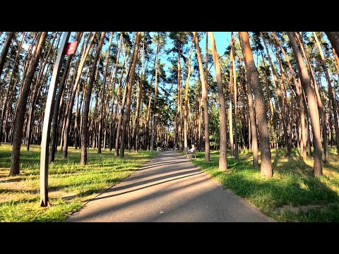 Видео: Дорога до парку Совки та сам парк