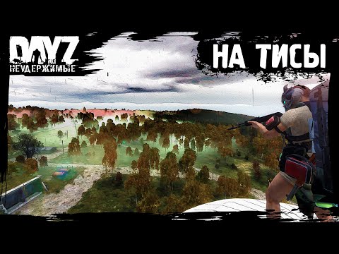 Видео: №8 DayZ НЕУДЕРЖИМЫЕ - НА ТИСЫ (сезон: лето 2023, патч 1.21)
