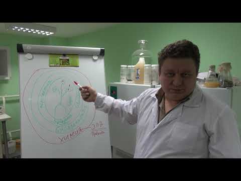 Видео: БИОПРЕПАРАТЫ || Есть ли от них польза?