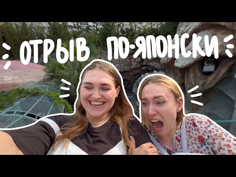 Видео: БУДНИ В ЯПОНИИ: пьяные знакомства на экзамене и «Страх и Слёзы в DisneySea»