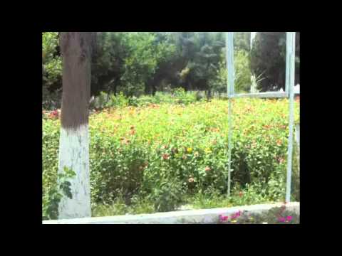 Видео: Школа №4 Турсунзаде  (Регар) Пахтаабад.