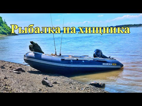 Видео: В поисках хищника на Амуре: Первая попытка