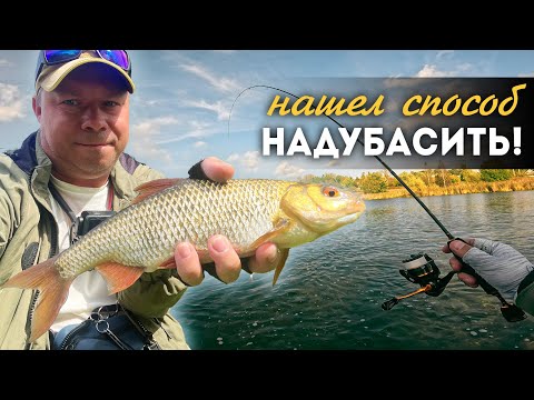 Видео: Эта МАЛЕНЬКАЯ ХИТРОСТЬ - КЛЮЧ к Плотве Осенью! FC Ermine Nano 0.2-0.8  Сверхлегкий Мормышинг!