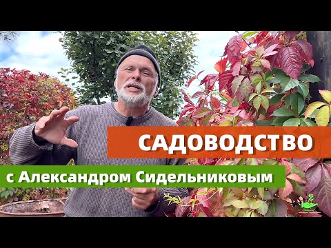 Видео: САДОВОДСТВО с Александром Сидельниковым 23 выпуск