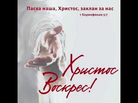 Видео: 20 апреля 2025 г.