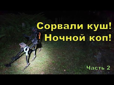 Видео: Сорвали куш на ночном копе! Поиск золота с NOKTA Anfibio Multi! Фильм 167