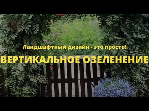 Видео: Вертикальное озеленение // Ландшафтный дизайн - это просто! / Сезон 1 //  Серия 9