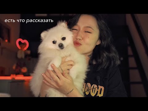 Видео: podcast.12: 3 ГОДА С СОБАКОЙ от начала и до конца