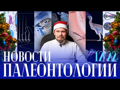 Видео: Опять спинозавр | Плавающий дромеозаврид | Микрораптор ел млекопитающих | И еще 12 статей!