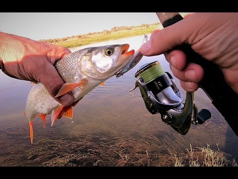 Видео: Сырдарья 2019. Рай для ултралайта