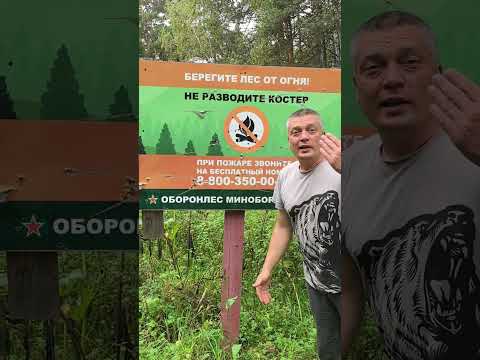 Видео: я думаю это не нормально 🤦